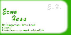 erno hess business card